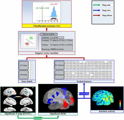 Eyes-Open and Eyes-Closed Resting States With Opposite Brain Activity in Sensorimotor and Occipital Regions: Multidimensional Evidences From Machine Learning Perspective
